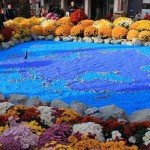 Artă florală la Festivalul crizantemelor