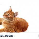 Facebook cover: 15 exemple creative