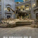 Vizitați virtual Banca Națională a României și Muzeul de Științe Naturale Smithsonian