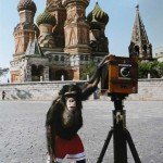 Sotheby’s: creațiile cimpanzeului-fotograf estimate la 80.000 de euro