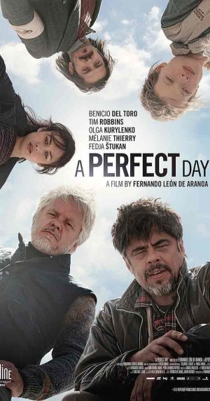 A-Perfect-Day