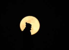 Luna îmi plânge pe umăr